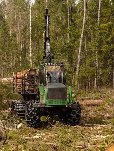 Big green industrial harvester with logs in pine forest.
