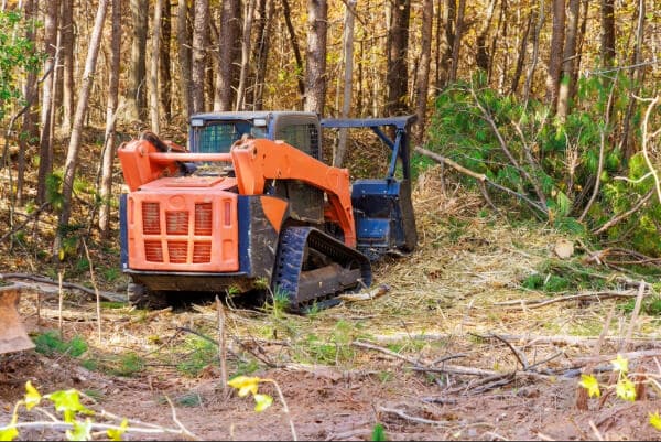 Forestry mulcher cleaning.