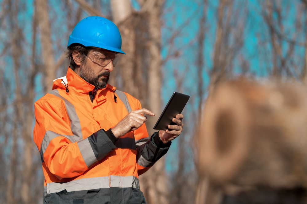 Forestry technician using digital tablet computer in forest for logging data collecting during deforestation.