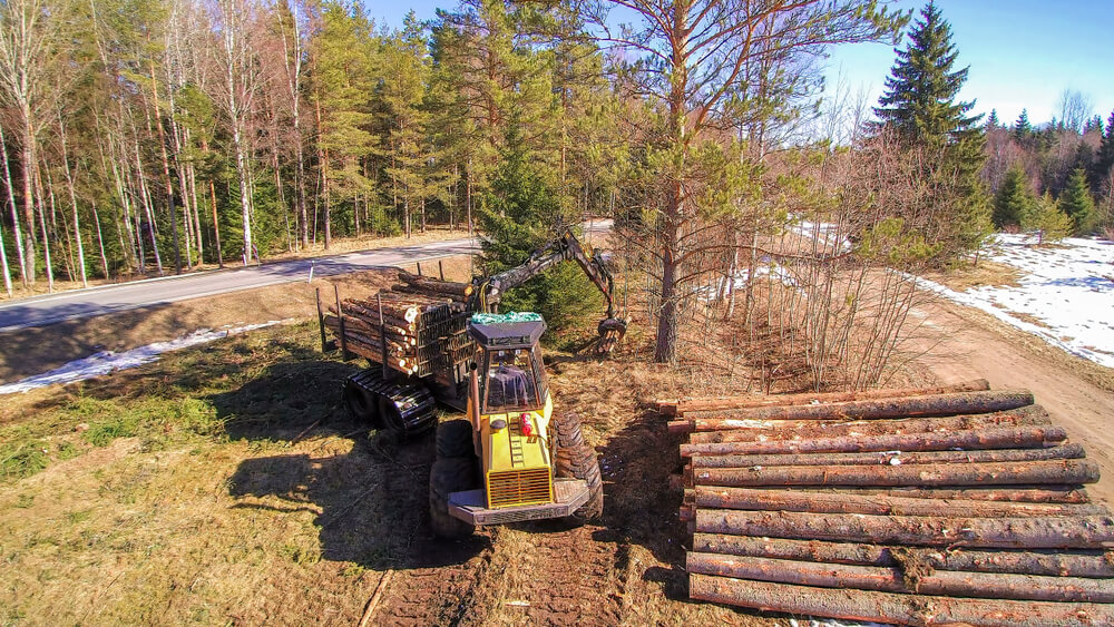 The forest harvester grabbing the logs in the ground while piled up on the ground.