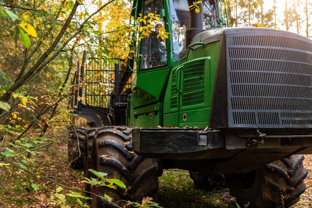 Heavy forestry machine with muddy tires, crane, grapple, and metal frame stands on autumn woodland trail.