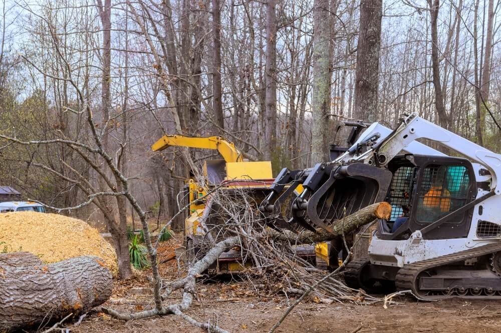 Heavy machinery works to clear fallen tree debris in forested area, cleanup efforts using tree grinder.
