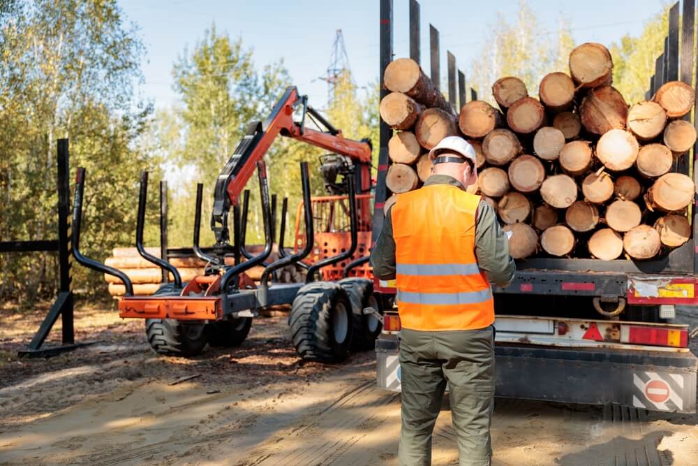 Worker checks loading of firewood. Transportation of wood.
