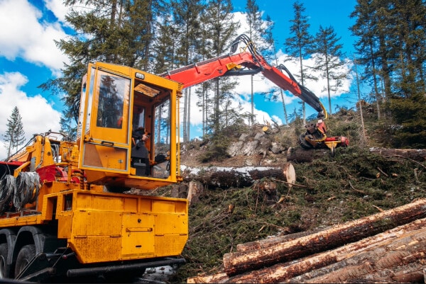 Woodcutter log truck tree harvester working in forest. Concept industry cut wood.