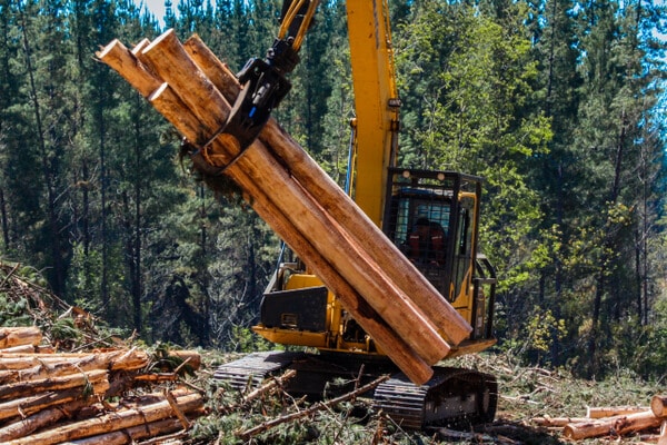 Logging Equipment in Action at the Forest.