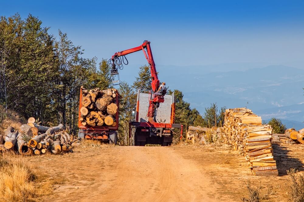 Logging truck with a crane loading cut wood logs on a dirt road, worker operating machinery in a forest clearing for timber industry.