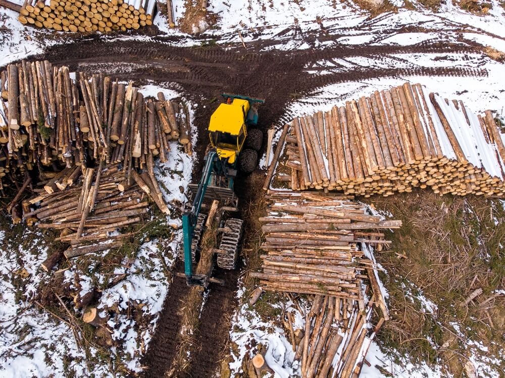 Lumberjack timber with modern harvester working in forest. Top view aerial photo.