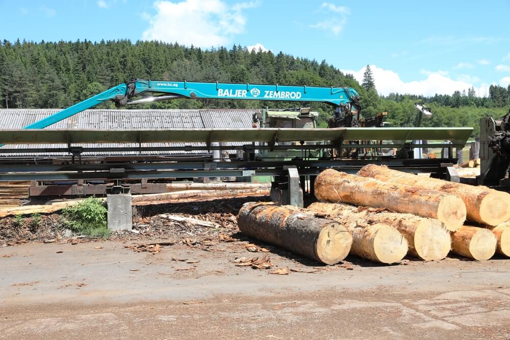 Modern sawmill with machinery.