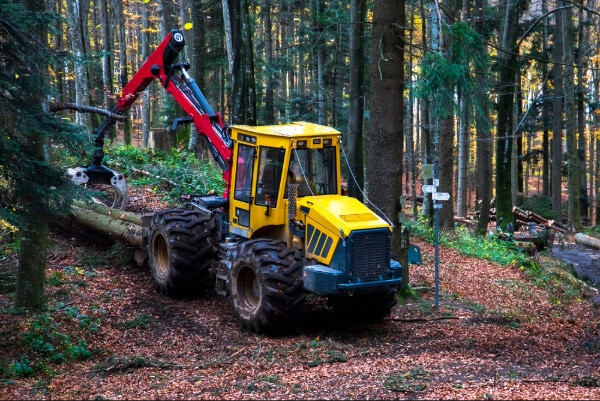 Pine forest harvesting machine and Crane forwarder at during clearing of a plantation.