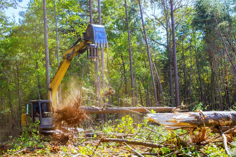 As preparation for construction of new structure, trees are uprooted using an excavator by contractor.