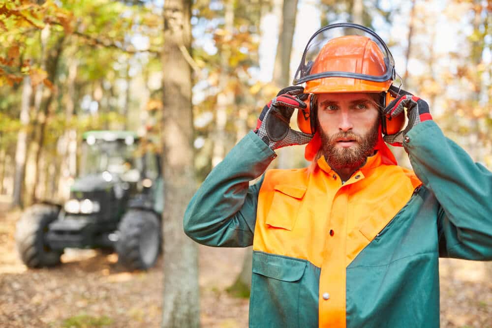 Forest worker or lumberjack with protective gear during harvesting in the forest.