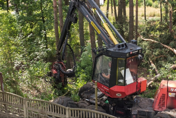 Forestry harvester during a job among trees in the forest.