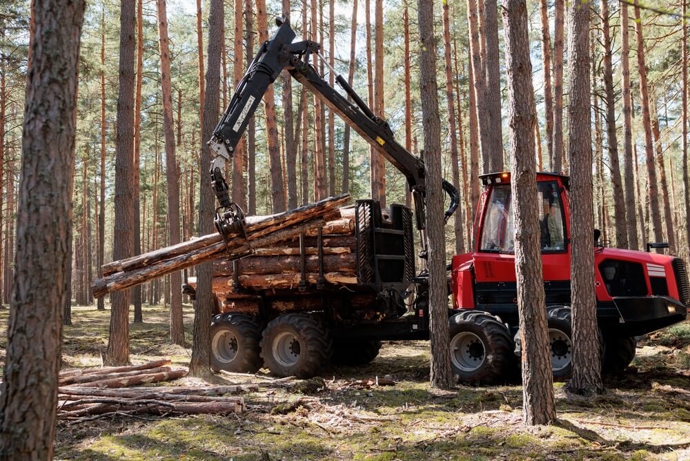 Forwarder tractor for wood transport. Tractor with trailer loaded with logs. Forestry tractor.