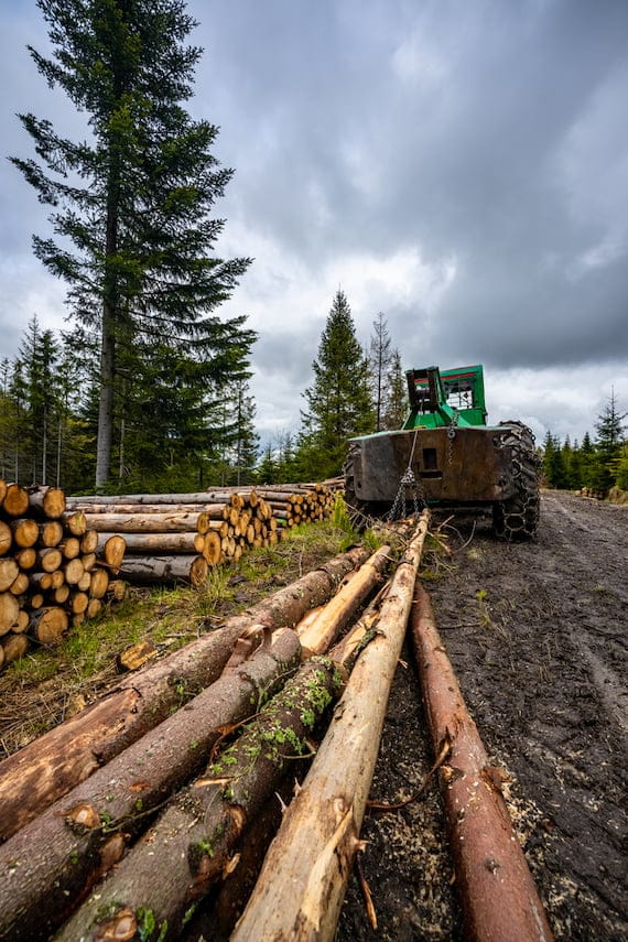 Forestry machinery. Tree felling. Wood hauling.