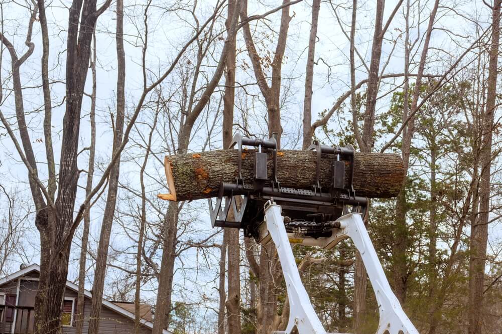Tree service machine operates in forest, lifting substantial log amidst bare trees.