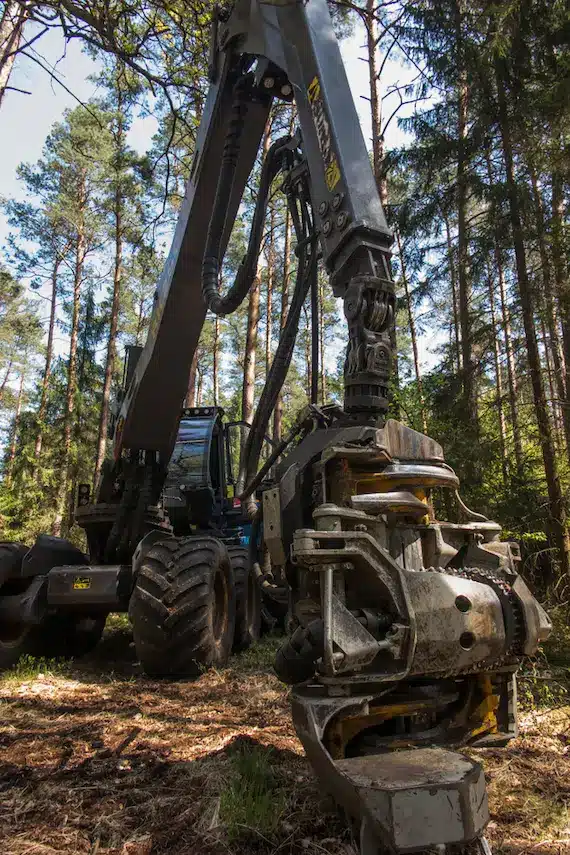 forestry harvester during a stoppage among trees in the forest.