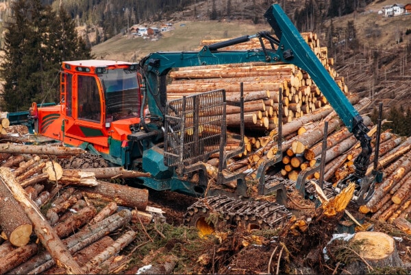 Woodcutter log truck tree harvester working in forest. Concept industry cut wood.