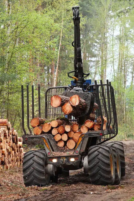 The harvester working in a forest.
